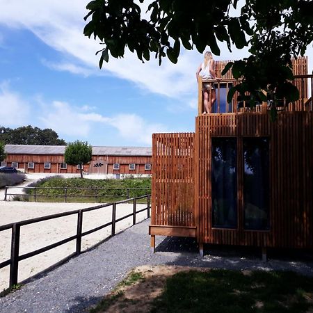 Villa Manege De La Chapiniere - Dadaloge Tiny-House Châteauvieux Exterior foto